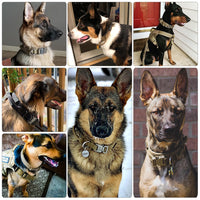Load image into Gallery viewer, Dog Collar
