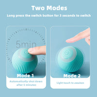 Load image into Gallery viewer, Smart Cat Ball Toys